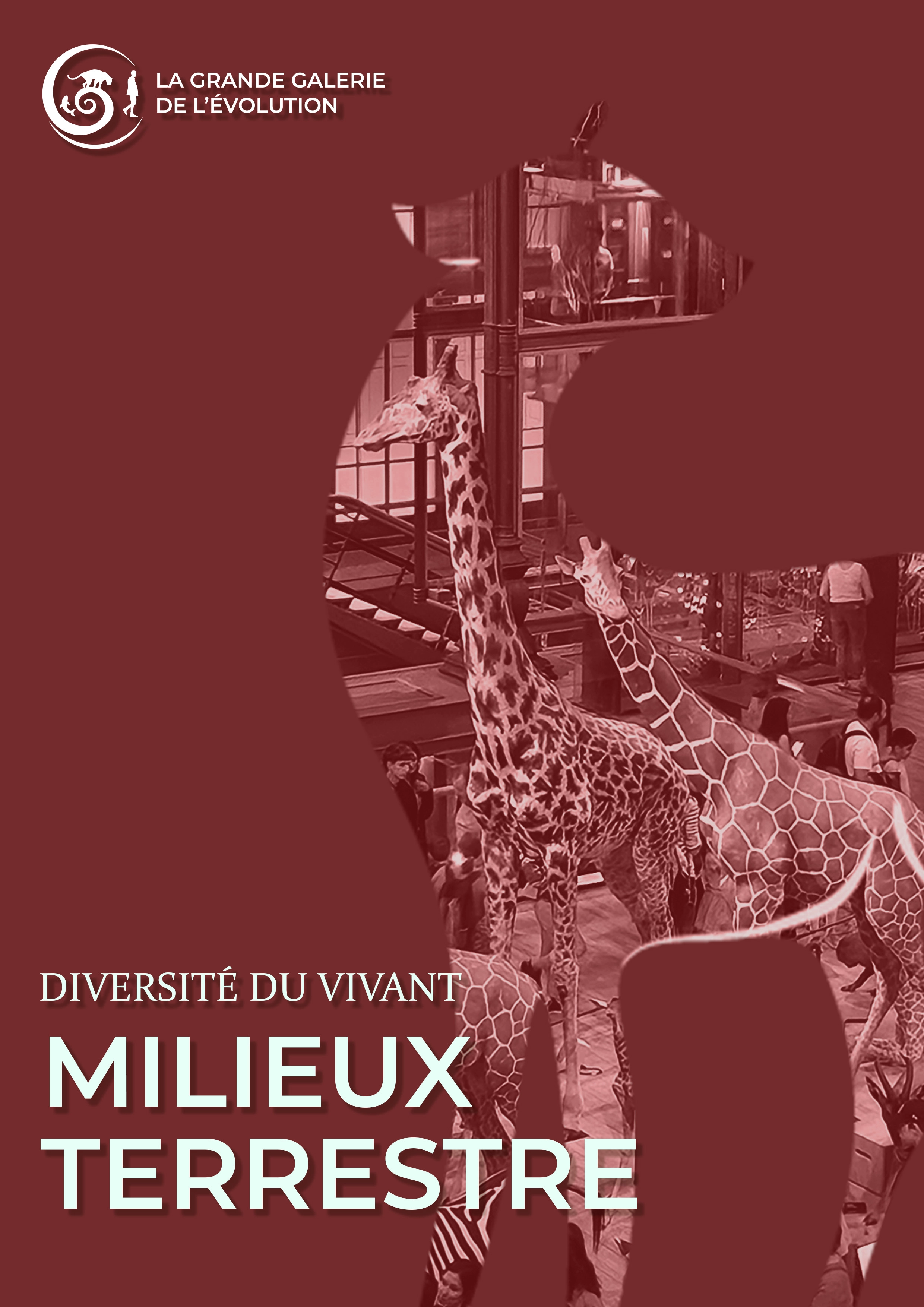 Affiche 1