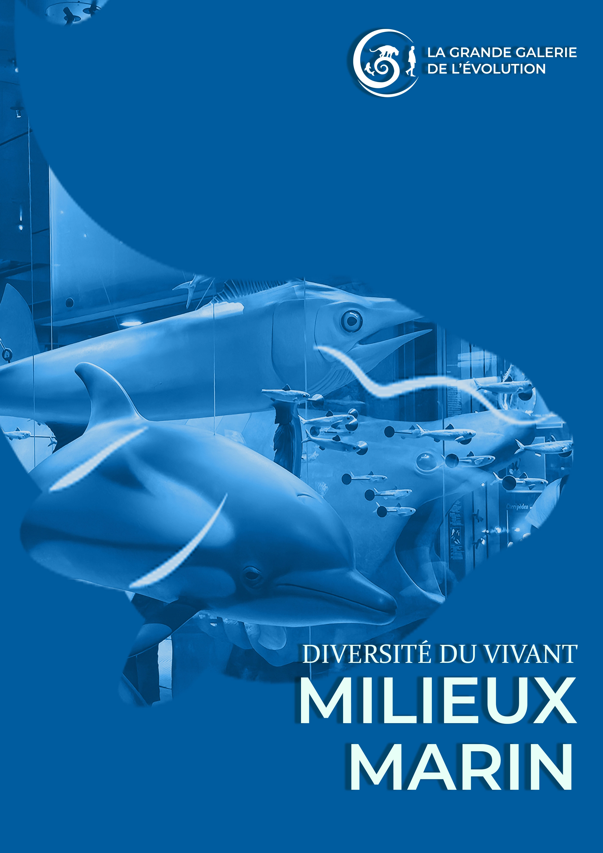 Affiche 2