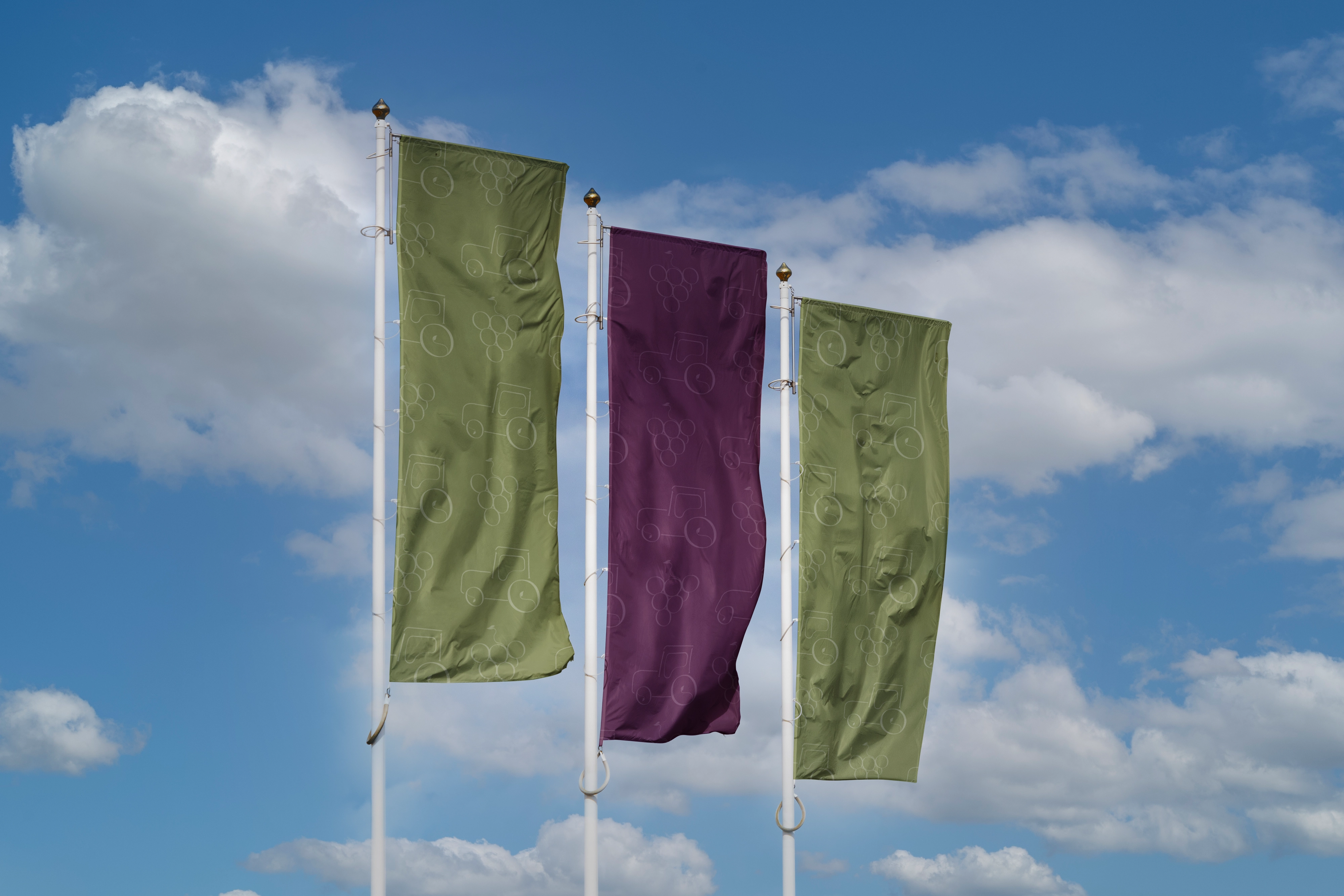 Mockup drapeau Domaine de Luce