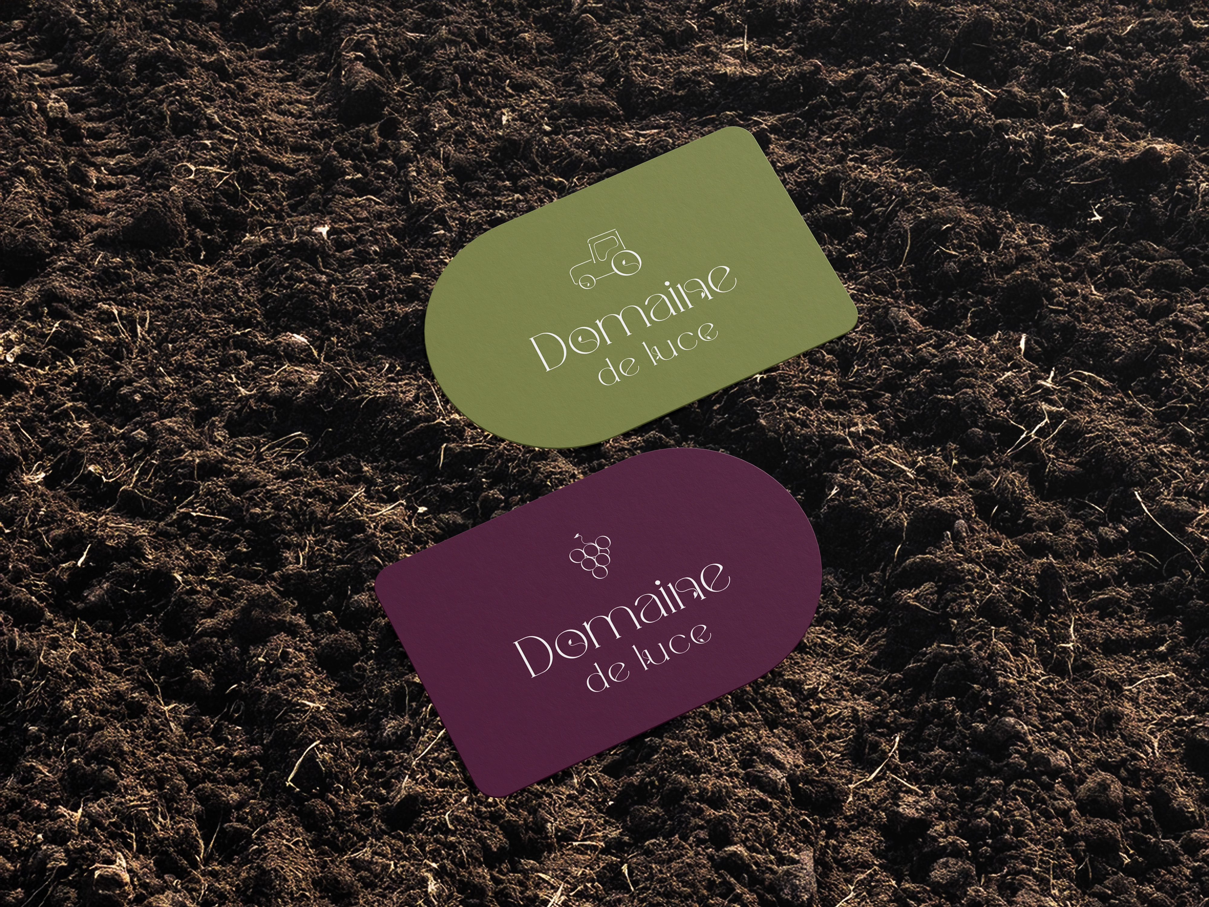 Carte Domaine de Luce